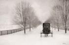 Snowy Amish Lane