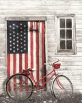 Patriotic Bicycle