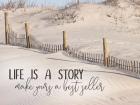 Life is a Story