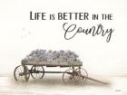 Life is Better in the Country