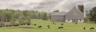 Grazing Away