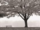 The Empty Table