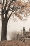 Market Street in Autumn