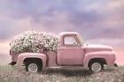 Pink Floral Truck