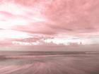 Pink Beach Emotions