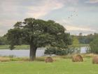 Summer Hay Harvest