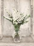 Bridal Veil Flowers