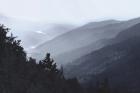 Newfound Gap View