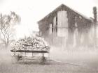 Country Flower Wagon