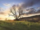 Clark Valley Sunset