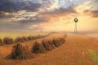 Amish Country Sunrise