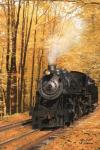 Fall Locomotive