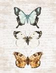 Butterfly Trio