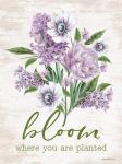 Bloom Where You Are Planted