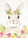 Spring Bunny