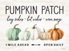 Pumpkin Patch