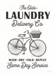 Laundry Delivery Co.