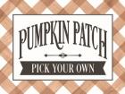 Pumpkin Patch