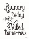 Laundry Today