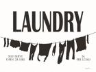 Laundry Clothesline