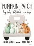 Pumpkin Patch Ahead