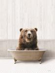 Bath Time Bear