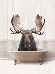 Bath Time Moose