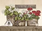 Cherish the Small Things Geraniums