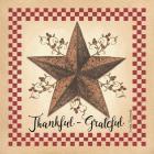 Thankful Grateful Barnstar