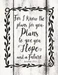 Plans to Give You Hope