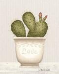 Prickly Pear Cactus