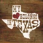 My Heart Belongs to Texas
