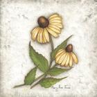 Yellow Coneflowers