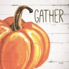 Gather Pumpkin