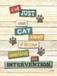 Cat Intervention