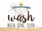 Wash - Brush - Floss - Flush