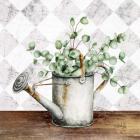 Eucalyptus White Watering Can