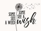 A Wish