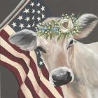 Patriotic Cow