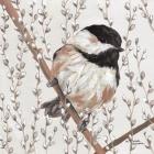 Wee Chickadee