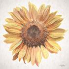 Sunny Sunflower