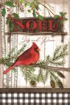 Noel Cardinal