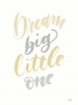 Dream Big Little One