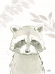 Leafy Raccoon