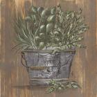 Herb Trio in Pail