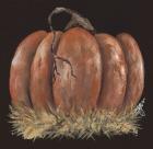 Pumpkin Study