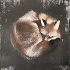 Sleeping Fox No. 11