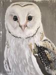 Barn Owl