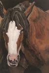 Horse Portrait I