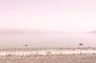 Pastel Sea II